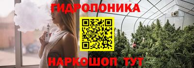 ALPHA-PVP Партизанск
