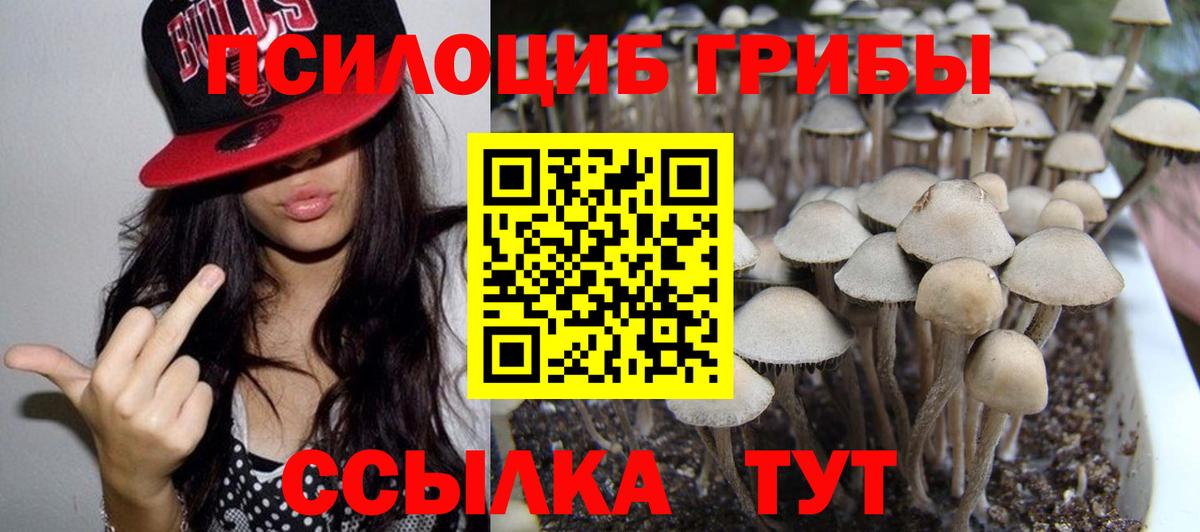 Галлюциногенные грибы GOLDEN TEACHER  Псилоцибиновые грибы Psilocybe  Вход с VPN  Рассказово 